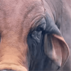 Screenshot 2025-10-14 at 2.32.35 PM